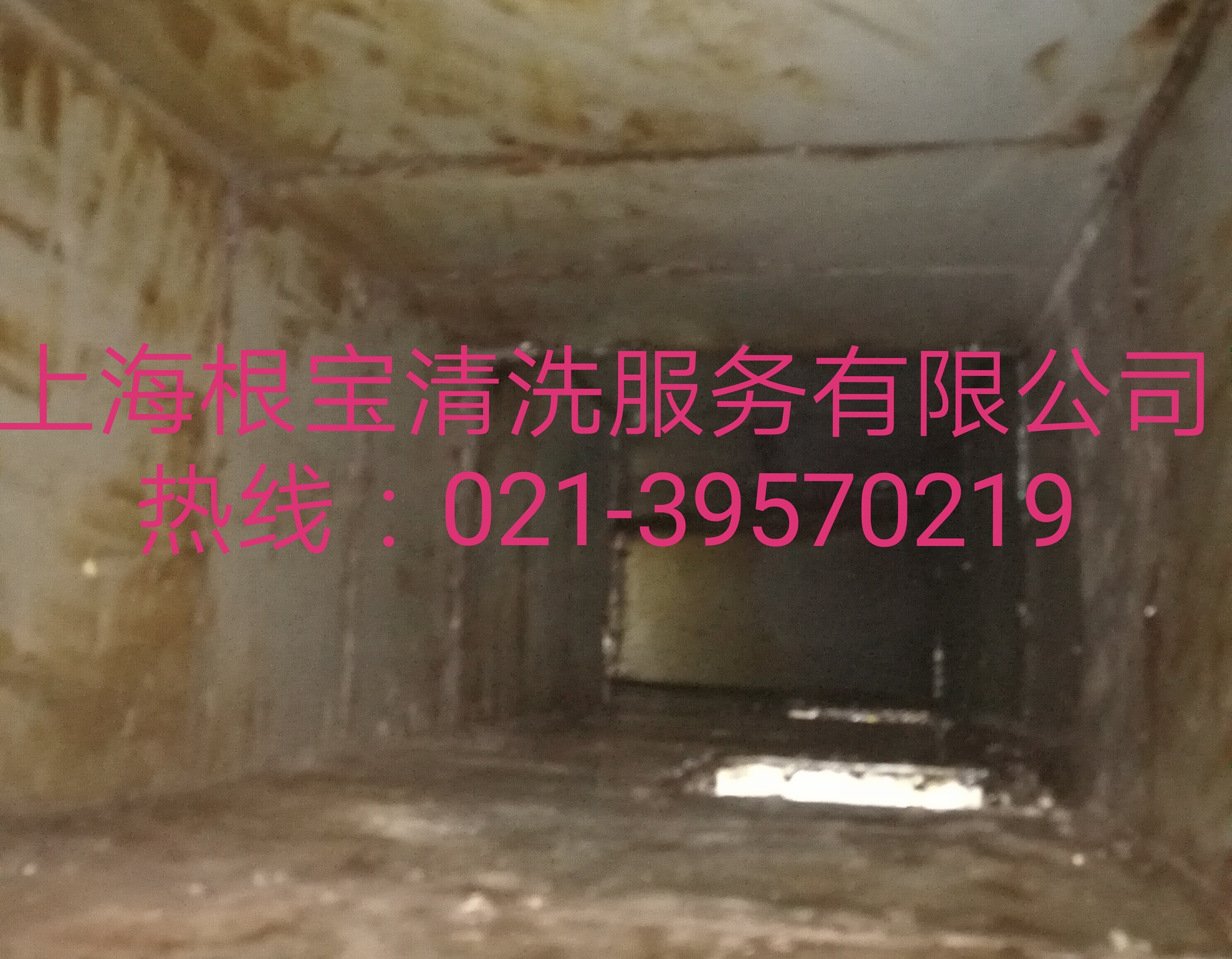 上海根宝清洗服务有限公司